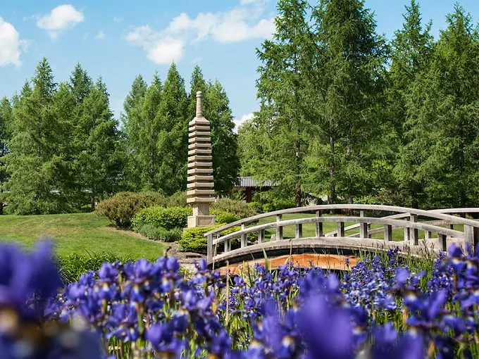Yoga & Sound Bath Alpine Garden — yoga & sound bath in Devon